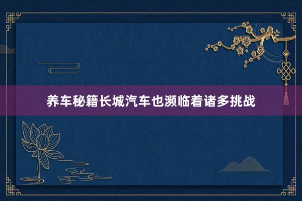 养车秘籍长城汽车也濒临着诸多挑战