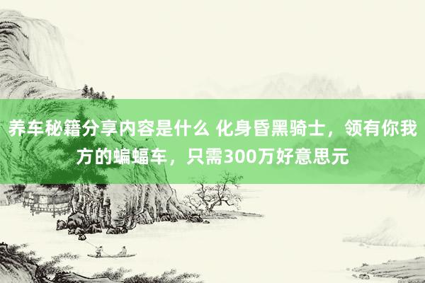 养车秘籍分享内容是什么 化身昏黑骑士，领有你我方的蝙蝠车，只需300万好意思元