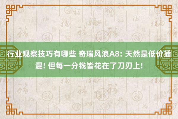 行业观察技巧有哪些 奇瑞风浪A8: 天然是低价插混! 但每一分钱皆花在了刀刃上!