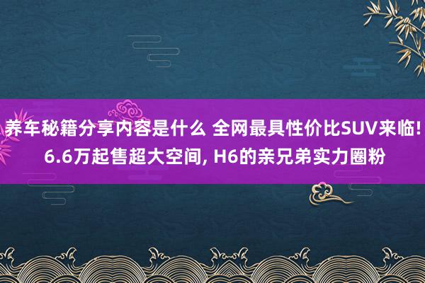 养车秘籍分享内容是什么 全网最具性价比SUV来临! 6.6万起售超大空间, H6的亲兄弟实力圈粉