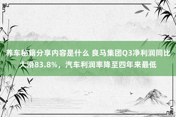 养车秘籍分享内容是什么 良马集团Q3净利润同比大滑83.8%，汽车利润率降至四年来最低