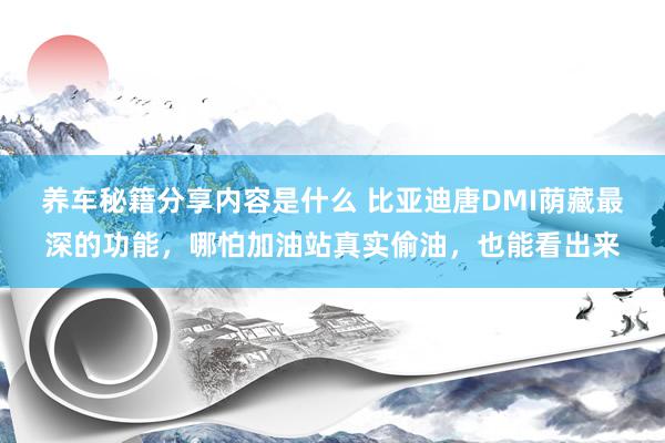 养车秘籍分享内容是什么 比亚迪唐DMI荫藏最深的功能，哪怕加油站真实偷油，也能看出来