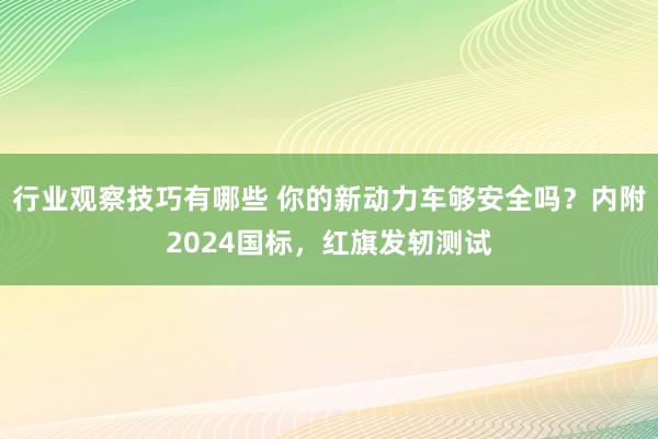 行业观察技巧有哪些 你的新动力车够安全吗？内附2024国标，红旗发轫测试