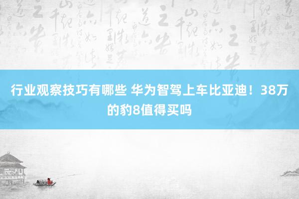 行业观察技巧有哪些 华为智驾上车比亚迪！38万的豹8值得买吗