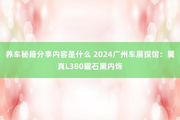 养车秘籍分享内容是什么 2024广州车展探馆：翼真L380曜石黑内饰