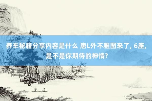 养车秘籍分享内容是什么 唐L外不雅图来了, 6座, 是不是你期待的神情?