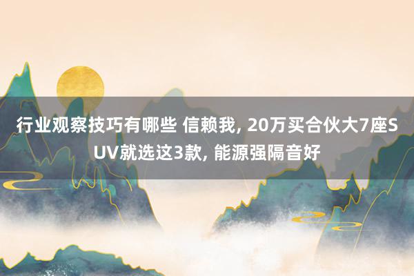 行业观察技巧有哪些 信赖我, 20万买合伙大7座SUV就选这3款, 能源强隔音好