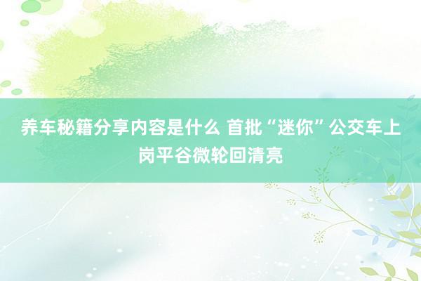 养车秘籍分享内容是什么 首批“迷你”公交车上岗平谷微轮回清亮