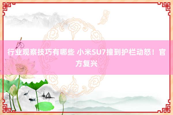 行业观察技巧有哪些 小米SU7撞到护栏动怒！官方复兴