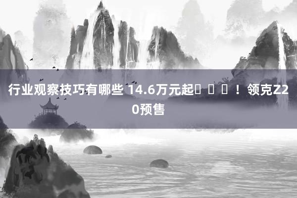 行业观察技巧有哪些 14.6万元起​​​！领克Z20预售