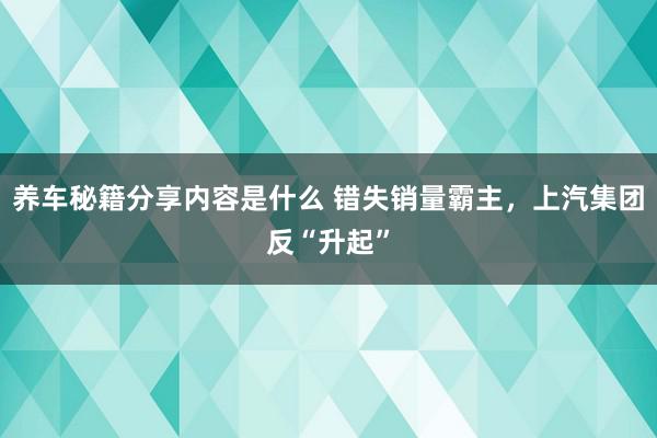 养车秘籍分享内容是什么 错失销量霸主，上汽集团反“升起”