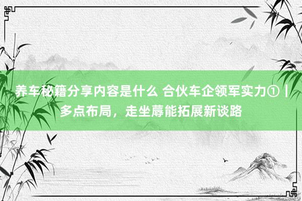 养车秘籍分享内容是什么 合伙车企领军实力①｜多点布局，走坐蓐能拓展新谈路