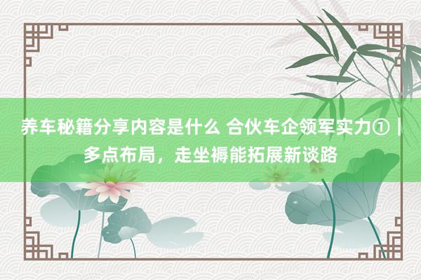 养车秘籍分享内容是什么 合伙车企领军实力①｜多点布局，走坐褥能拓展新谈路