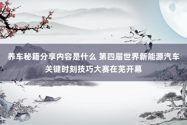 养车秘籍分享内容是什么 第四届世界新能源汽车关键时刻技巧大赛在芜开幕