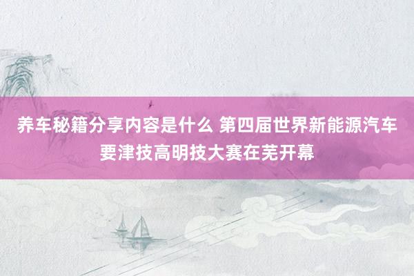 养车秘籍分享内容是什么 第四届世界新能源汽车要津技高明技大赛在芜开幕