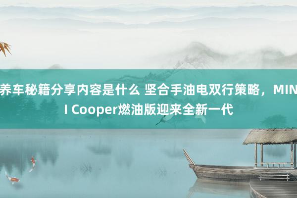 养车秘籍分享内容是什么 坚合手油电双行策略，MINI Cooper燃油版迎来全新一代