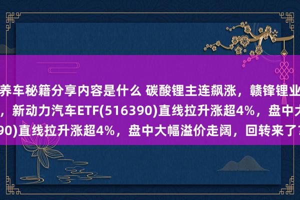 养车秘籍分享内容是什么 碳酸锂主连飙涨，赣锋锂业涨停、宁德时期涨3%，新动力汽车ETF(516390)直线拉升涨超4%，盘中大幅溢价走阔，回转来了？