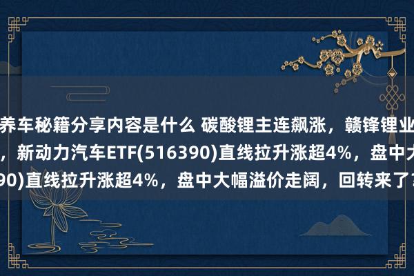 养车秘籍分享内容是什么 碳酸锂主连飙涨，赣锋锂业涨停、宁德时间涨3%，新动力汽车ETF(516390)直线拉升涨超4%，盘中大幅溢价走阔，回转来了？