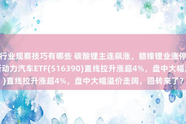 行业观察技巧有哪些 碳酸锂主连飙涨，赣锋锂业涨停、宁德时期涨3%，新动力汽车ETF(516390)直线拉升涨超4%，盘中大幅溢价走阔，回转来了？