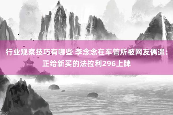 行业观察技巧有哪些 李念念在车管所被网友偶遇：正给新买的法拉利296上牌