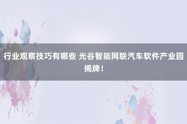 行业观察技巧有哪些 光谷智能网联汽车软件产业园揭牌！