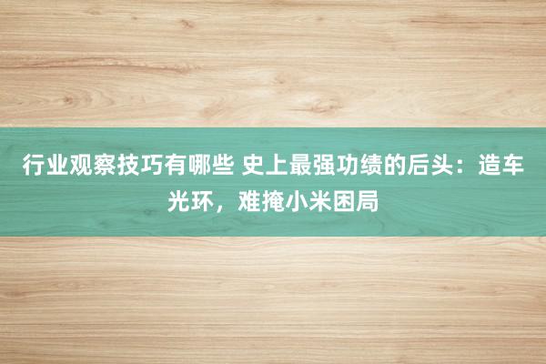 行业观察技巧有哪些 史上最强功绩的后头：造车光环，难掩小米困局