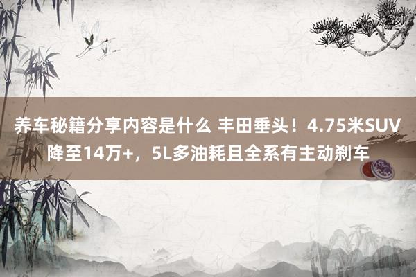 养车秘籍分享内容是什么 丰田垂头！4.75米SUV降至14万+，5L多油耗且全系有主动刹车