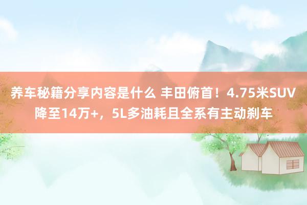 养车秘籍分享内容是什么 丰田俯首！4.75米SUV降至14万+，5L多油耗且全系有主动刹车