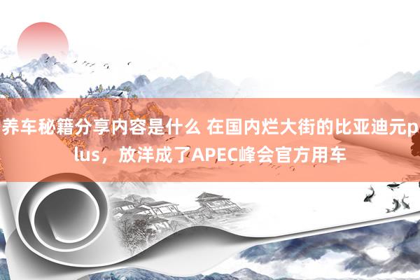 养车秘籍分享内容是什么 在国内烂大街的比亚迪元plus，放洋成了APEC峰会官方用车