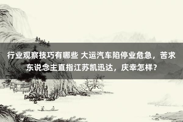 行业观察技巧有哪些 大运汽车陷停业危急，苦求东说念主直指江苏凯迅达，庆幸怎样？