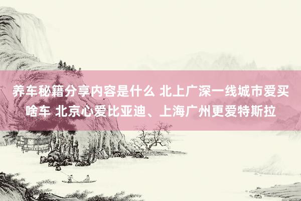 养车秘籍分享内容是什么 北上广深一线城市爱买啥车 北京心爱比亚迪、上海广州更爱特斯拉