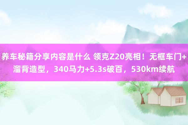 养车秘籍分享内容是什么 领克Z20亮相！无框车门+溜背造型，340马力+5.3s破百，530km续航