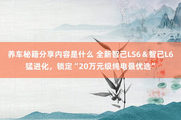 养车秘籍分享内容是什么 全新智己LS6＆智己L6猛进化，锁定“20万元级纯电最优选”