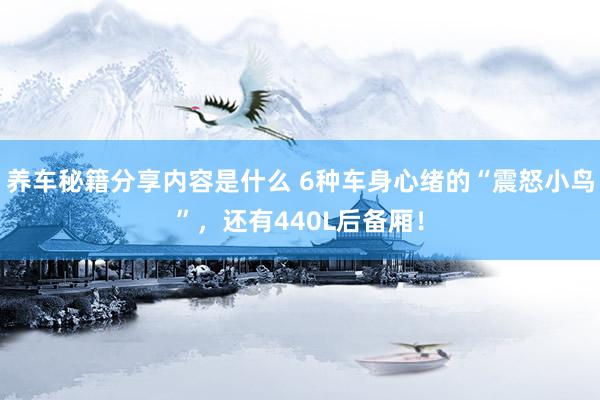 养车秘籍分享内容是什么 6种车身心绪的“震怒小鸟”，还有440L后备厢！