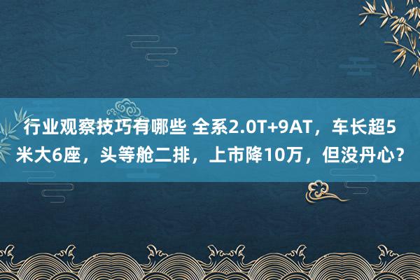 行业观察技巧有哪些 全系2.0T+9AT，车长超5米大6座，头等舱二排，上市降10万，但没丹心？