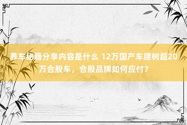 养车秘籍分享内容是什么 12万国产车建树超20万合股车，合股品牌如何应付？