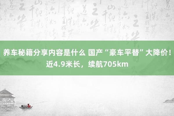 养车秘籍分享内容是什么 国产“豪车平替”大降价！近4.9米长，续航705km