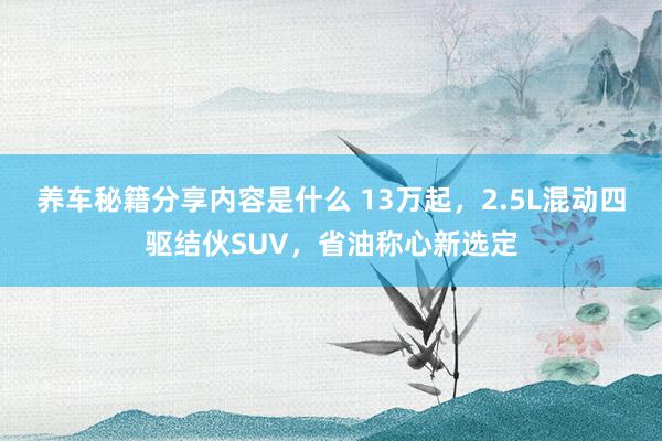 养车秘籍分享内容是什么 13万起，2.5L混动四驱结伙SUV，省油称心新选定