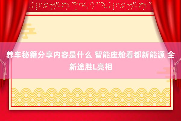 养车秘籍分享内容是什么 智能座舱看都新能源 全新途胜L亮相