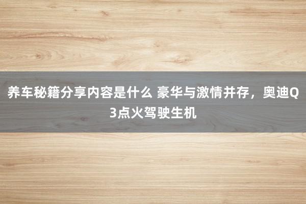 养车秘籍分享内容是什么 豪华与激情并存，奥迪Q3点火驾驶生机