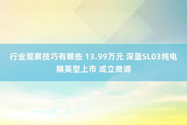 行业观察技巧有哪些 13.99万元 深蓝SL03纯电精英型上市 成立微调