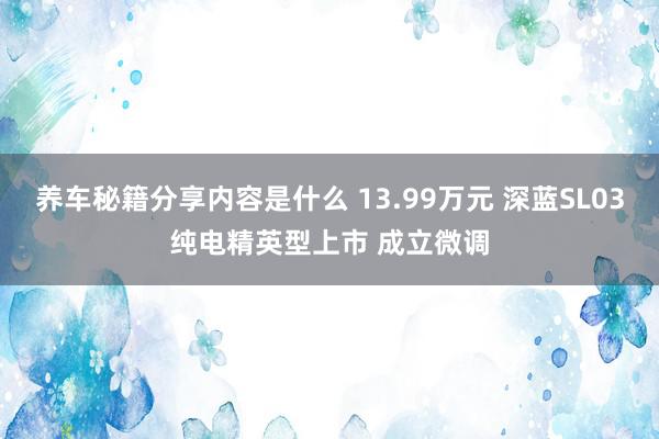 养车秘籍分享内容是什么 13.99万元 深蓝SL03纯电精英型上市 成立微调