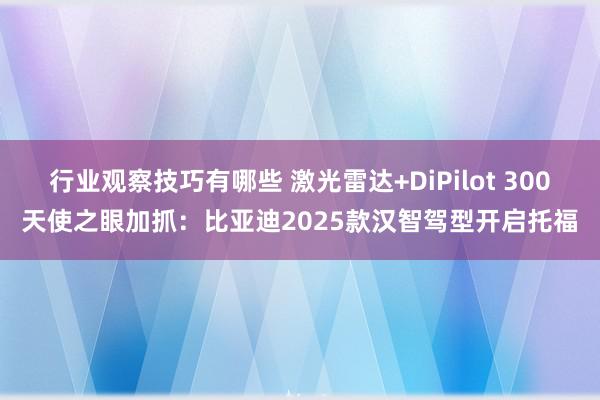 行业观察技巧有哪些 激光雷达+DiPilot 300天使之眼加抓：比亚迪2025款汉智驾型开启托福