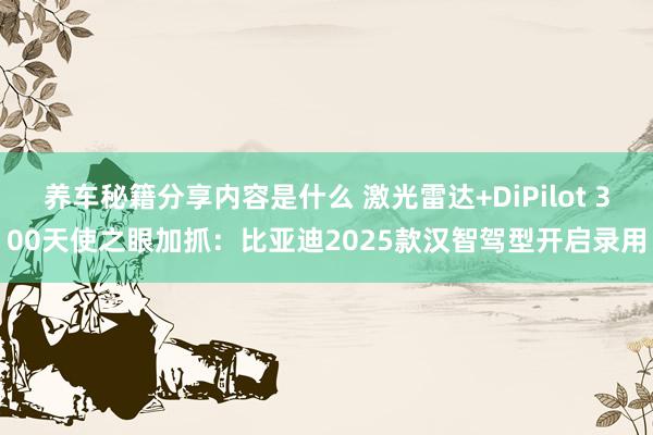 养车秘籍分享内容是什么 激光雷达+DiPilot 300天使之眼加抓：比亚迪2025款汉智驾型开启录用