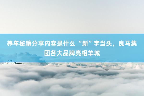 养车秘籍分享内容是什么 “新”字当头，良马集团各大品牌亮相羊城