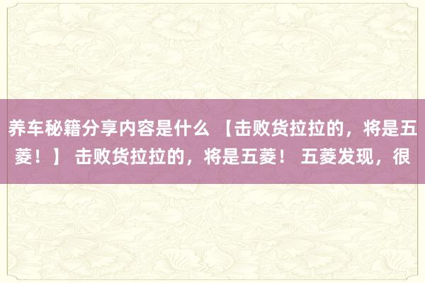 养车秘籍分享内容是什么 【击败货拉拉的，将是五菱！】 击败货拉拉的，将是五菱！ 五菱发现，很