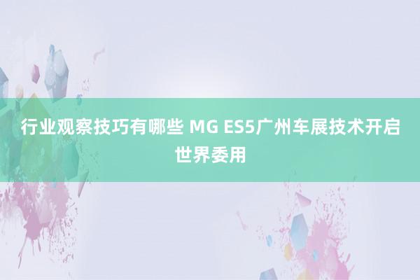 行业观察技巧有哪些 MG ES5广州车展技术开启世界委用