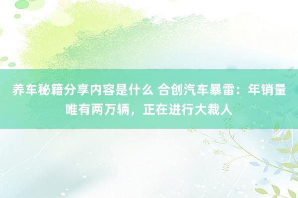 养车秘籍分享内容是什么 合创汽车暴雷：年销量唯有两万辆，正在进行大裁人