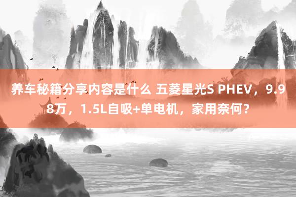 养车秘籍分享内容是什么 五菱星光S PHEV，9.98万，1.5L自吸+单电机，家用奈何？