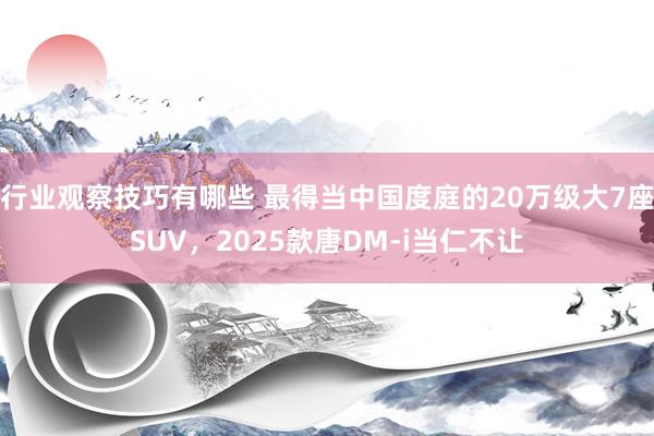 行业观察技巧有哪些 最得当中国度庭的20万级大7座SUV，2025款唐DM-i当仁不让